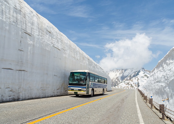Tour Nhật Bản 6N5Đ: Từ HCM - Nagoya - Shirakawago - Takayama - Tateyama - Ishikawa - Kyoto - Osaka - Kobe, Bay Vietnam Airlines, khám phá hoa tử đằng
