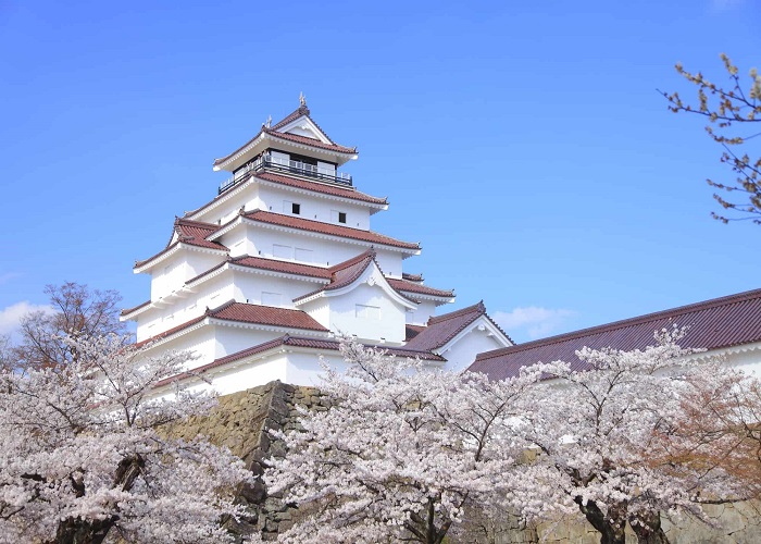 Tour Nhật Bản 6N5Đ: HCM - Fukushima - Tochigi - Công Viên Ashikaga - Tokyo - Ibaraki - Fukushima, Bay Vietjet Air, rực rỡ sắc hoa anh đào