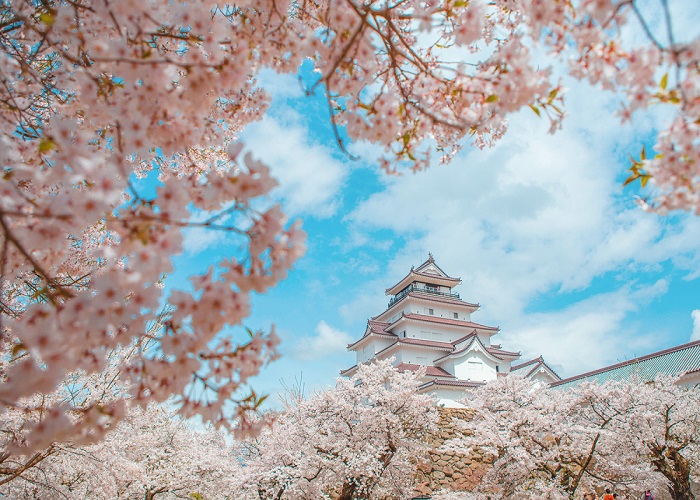 Tour Nhật Bản 6N5Đ: HCM - Fukushima - Tochigi - Công Viên Ashikaga - Tokyo - Ibaraki - Fukushima, Bay Vietjet Air, rực rỡ sắc hoa anh đào