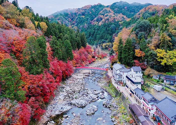 Tour Nhật Bản mùa thu 7N6Đ: Từ HCM - Kobe - Osaka - Kyoto - Nagoya - Yamanashi - Tokyo - Narita, Bay Vietnam Airlines + KS 4*