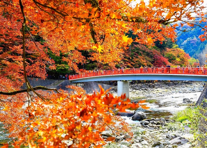 Tour Nhật Bản mùa thu 7N6Đ: Từ HCM - Kobe - Osaka - Kyoto - Nagoya - Yamanashi - Tokyo - Narita, Bay Vietnam Airlines + KS 4*