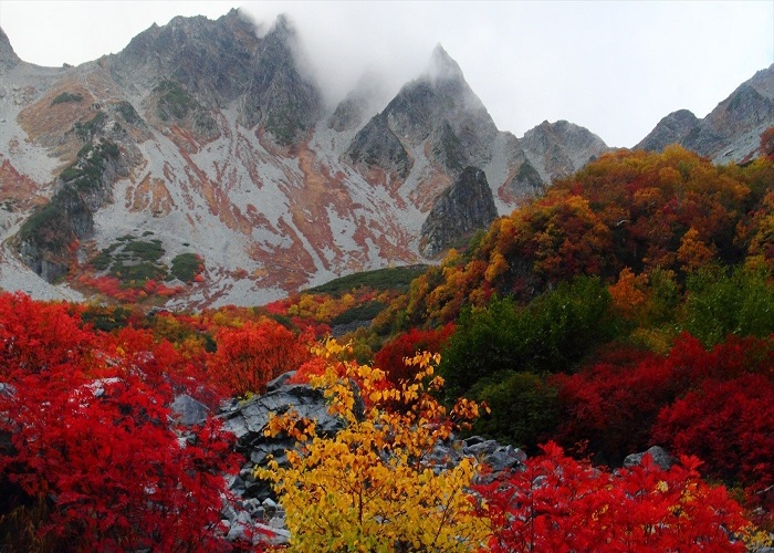 Tour Nhật Bản mùa thu 7N6Đ: Từ HCM - Kobe - Osaka - Kyoto - Nagoya - Yamanashi - Tokyo - Narita, Bay Vietnam Airlines + KS 4*
