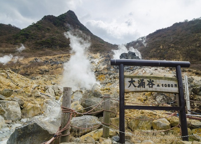 Tour Nhật Bản 6N5Đ: Từ HCM - Yamanshi - Kyoto - Osaka - Kansai, Mùng 1 Tết Âm Lịch, Bay Vietjet Air + KS 3-4*, đón năm mới 2025