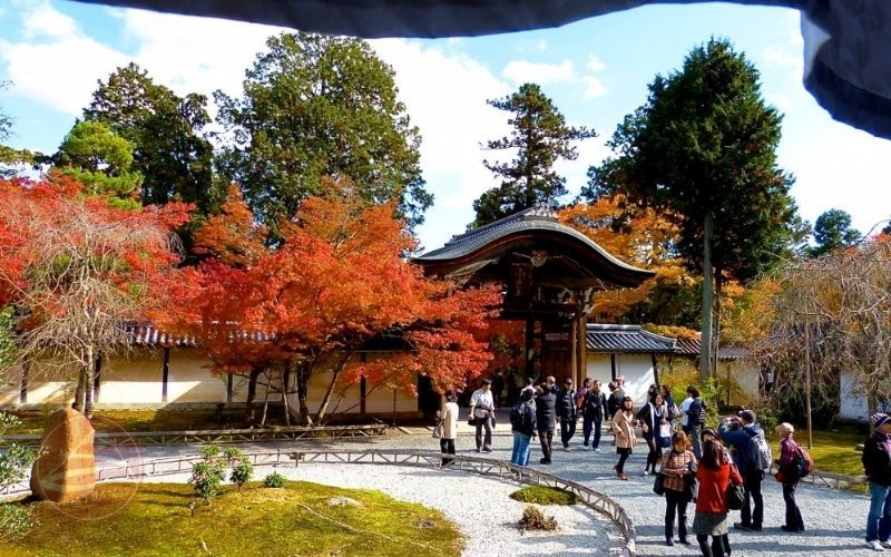 Du Lịch Nhật Bản: HCM - Narita - Tokyo - Yamasashi - Nagoya - Kyoto - Osaka 6 Ngày, khám phá cung đường vàng, Bay Vietjet Air + KS 3,4*