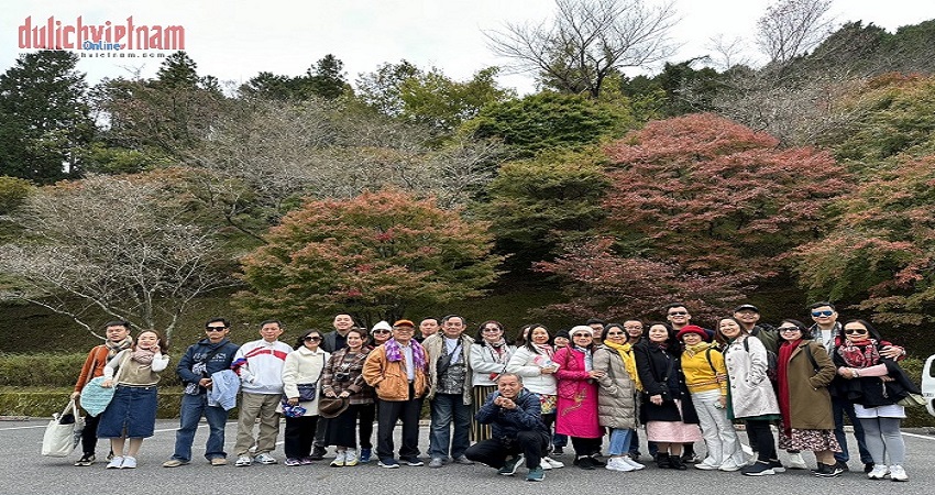 Tour Du Lịch Nhật Bản 5N4Đ: HCM - Yamanashi - Hakone - Tokyo, Bay Vietnam Airlines