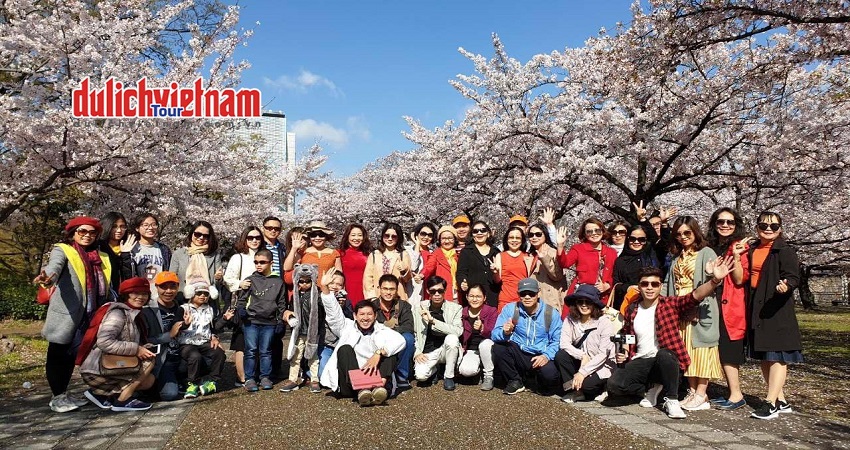 Tour Du Lịch Nhật Bản 5N4Đ: HCM - Yamanashi - Hakone - Tokyo, Bay Vietnam Airlines