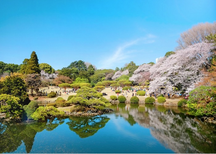 Tour Nhật Bản 6N5Đ: HCM - Fukushima - Tochigi - Công Viên Ashikaga - Tokyo - Ibaraki - Fukushima, Bay Vietjet Air, rực rỡ sắc hoa anh đào