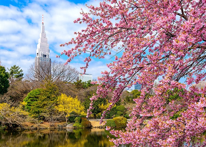 Tour Nhật Bản 6N5Đ: HCM - Fukushima - Tochigi - Công Viên Ashikaga - Tokyo - Ibaraki - Fukushima, Bay Vietjet Air, rực rỡ sắc hoa anh đào