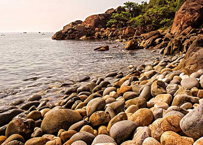 Tour Quy Nhơn 3N2Đ Từ Đà Nẵng Về Miền Đất Võ, Xe Ôtô + KS 3*