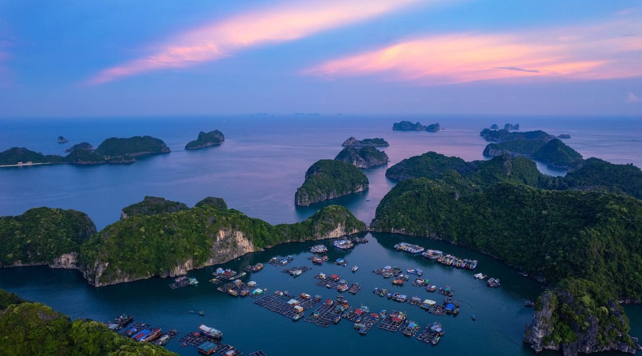 Làng chài Cái Bèo Cát Bà nổi bật với nét văn hóa đặc trưng và cảnh quan biển thơ mộng.