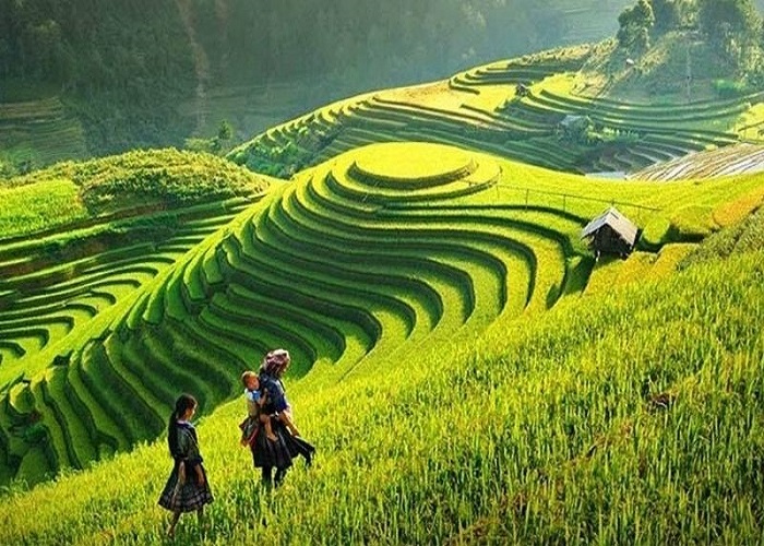 Tour miền Bắc 4N3Đ: Từ Đà Nẵng - SB Hà Nội - Sapa - CK Hà Khẩu - Hạ Long, Bay Vietjet Air + KS 3*