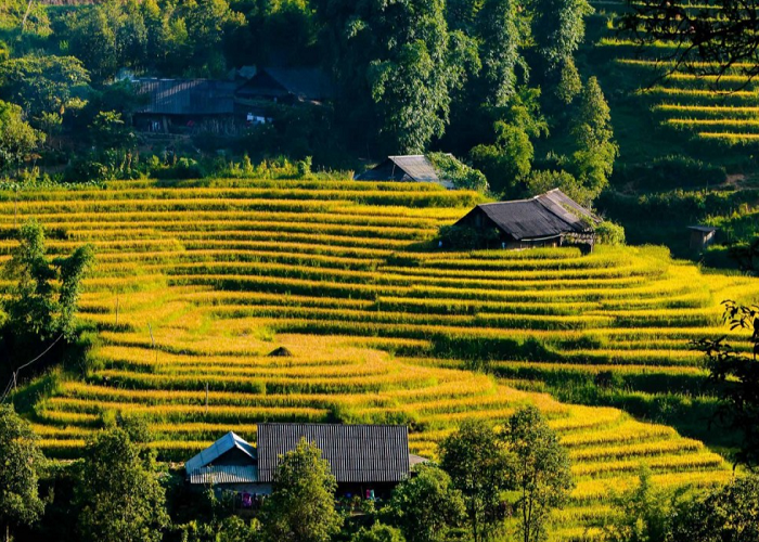 Tour miền Bắc 4N3Đ: Từ Đà Nẵng - SB Hà Nội - Sapa - CK Hà Khẩu - Hạ Long, Bay Vietjet Air + KS 3*