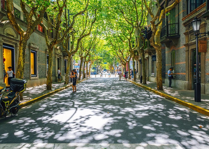 Tour Trung Quốc 5N4Đ: Từ HCM - Thượng Hải - Ô Trấn FreeDay No Shopping, Bay Hàng Không Juneyao Airlines + Tặng 1 đêm KS 5* tại Ô Trấn