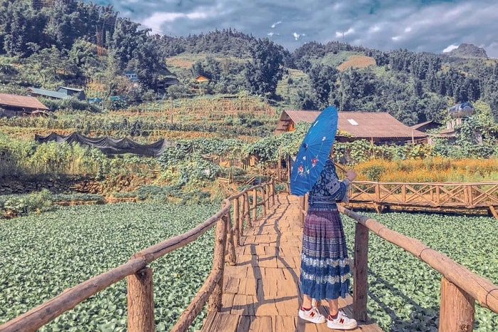 Du Lịch Sapa: Hà Nội - Sapa - Cát Cát - Chinh Phục Đỉnh Fansipan 2 Ngày 1 Đêm