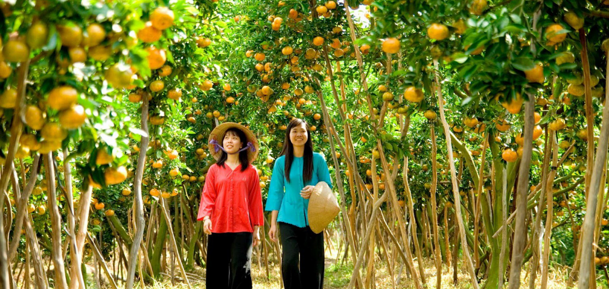 Trải nghiệm những loại quả tươi ngon tại vùng đất Tiền Giang trù phú