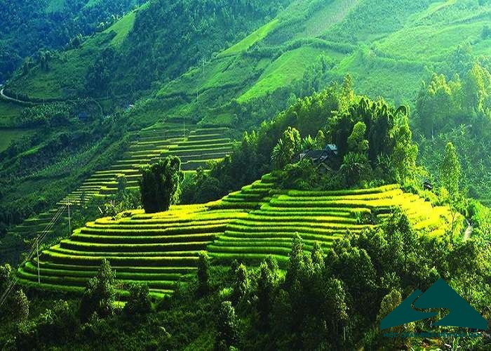 Du Lịch Tây Bắc: Hà Nội - Sapa - Lai Châu - Điện Biên - Mộc Châu - Mai Châu 4 Ngày