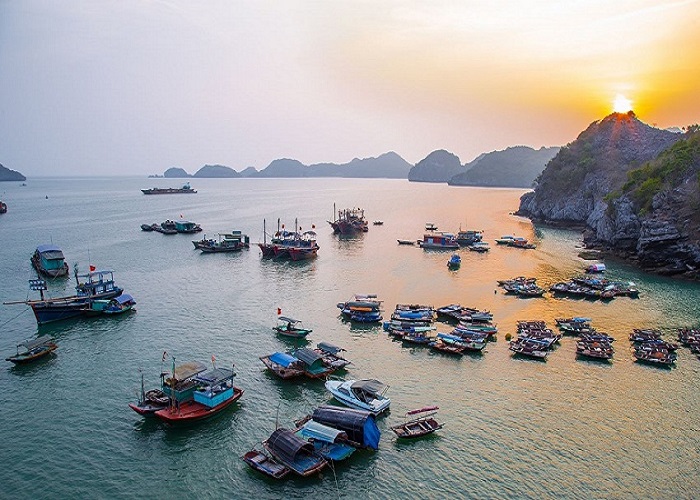 Tour Cát Bà 2N1Đ: Từ Hà Nội - Cát Bà - Vịnh Lan Hạ, Ô tô