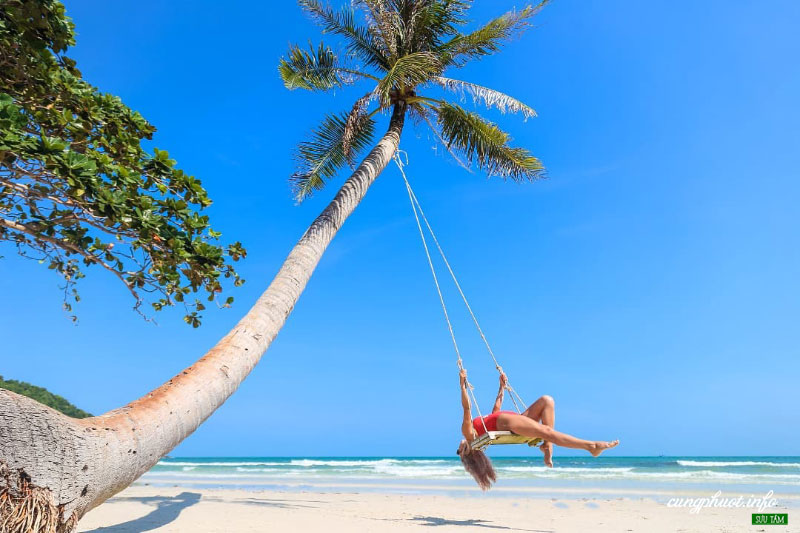 Cây dừa nghiêng nổi tiếng bạn sẽ ghé qua trong tour đảo Nam Du
