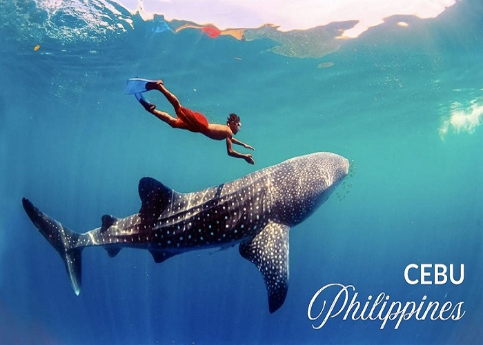 Tour Philippines 3N3Đ: Từ HCM - Cebu - Đảo Nalusuan - Gilutongan - Badian - Santo Niño, Bay Cebu Pacific (5J)