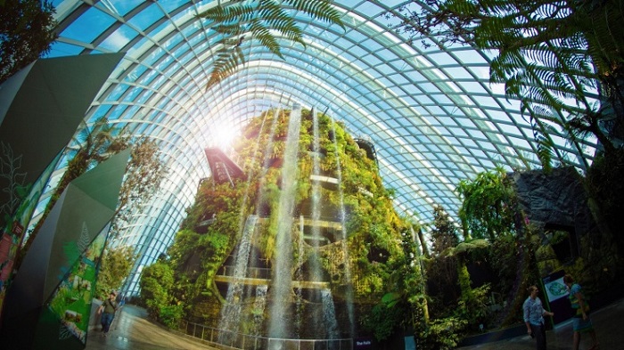 Cloud Forest - (khu Rừng trên Mây) Cloud Forest - (khu Rừng trên Mây)