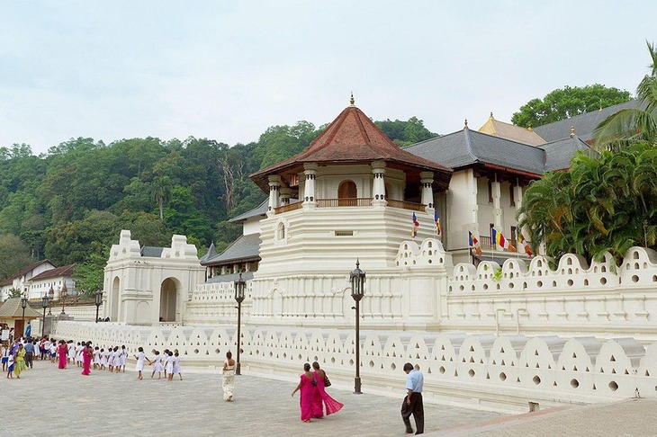Tour Sri Lanka 6N5Đ: Từ HCM - Colombo - Negombo - Sigiriya - Safari - Kandy - Nuwara Elyia, Bay VN + KS 4*