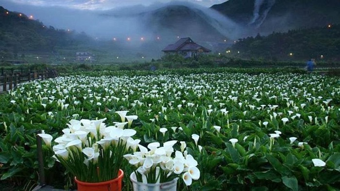 Công viên Dương Minh Sơn (Núi Dương Minh)