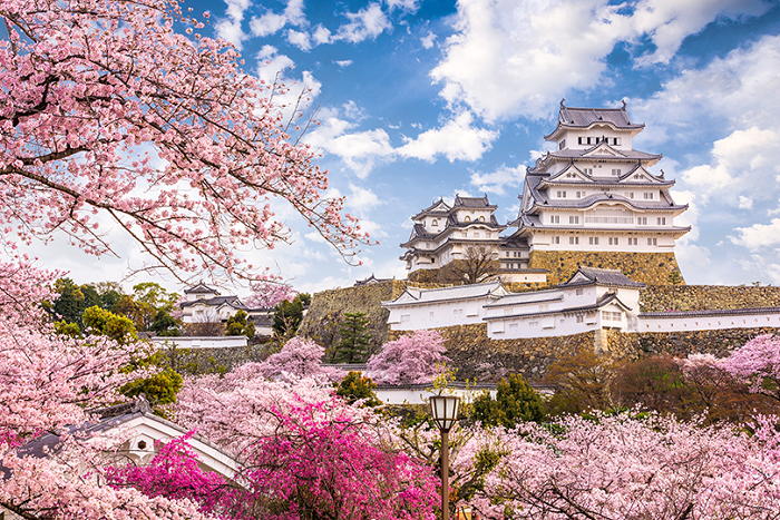 Du Lịch Nhật Bản Mùa Hoa Anh Đào: Hà Nội - Nara - Osaka - Kyoto - Phú Sĩ - Tokyo 6 Ngày Bay Vietnam Airlines