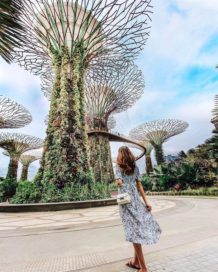 Sống ảo ở Garden by the Bay