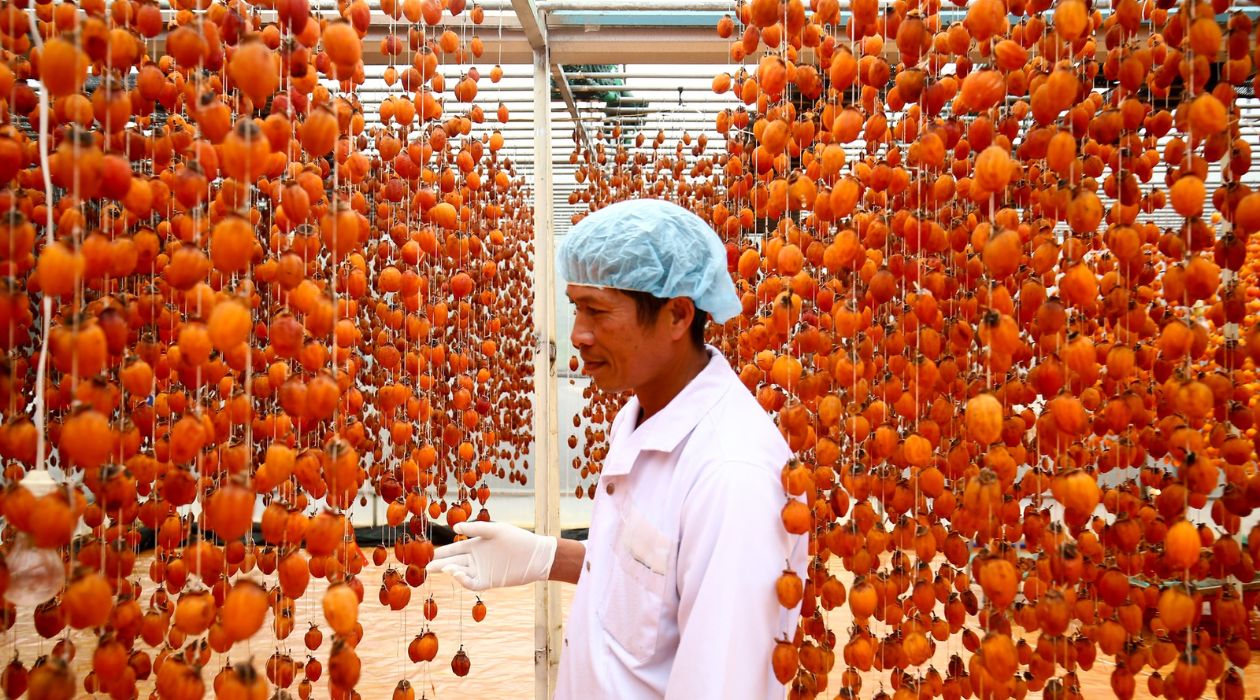 Hồng treo gió Đà Lạt nổi bật với vị ngọt đậm đà và hương thơm quyến rũ.