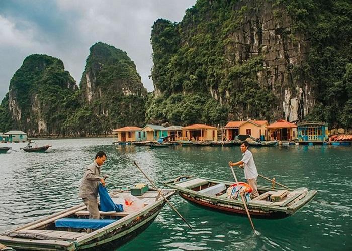 Du thuyền 5* Jade Sails 1 Ngày thăm Vịnh Hạ Long
