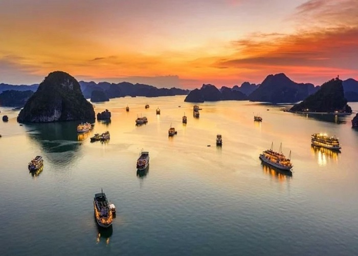 Tour du thuyền 5* Stellar Of The Seas 2N1Đ ngủ đêm trên Vịnh Hạ Long