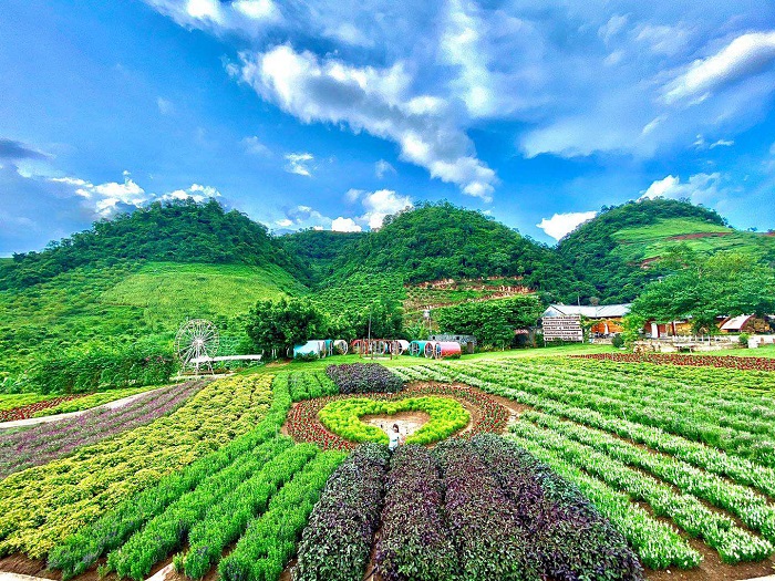 Vườn hoa Happy land - Happy land Vườn hoa Happy land - Happy land