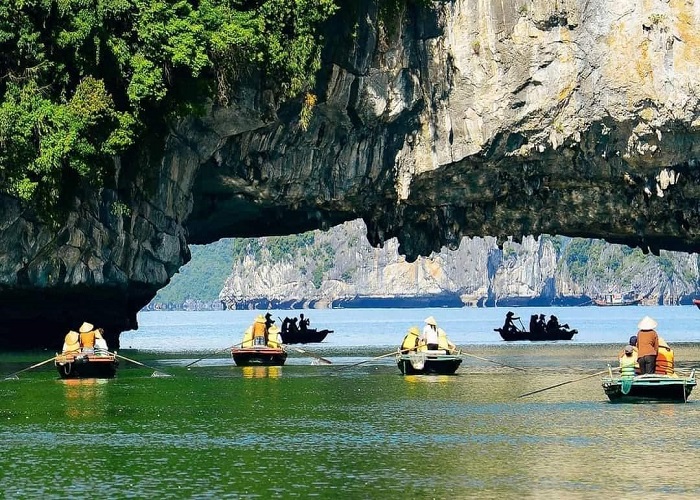 Tour du thuyền 5* Hercules 1N thăm Vịnh Hạ Long