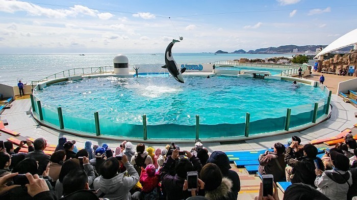 Kamogawa Seaworld 