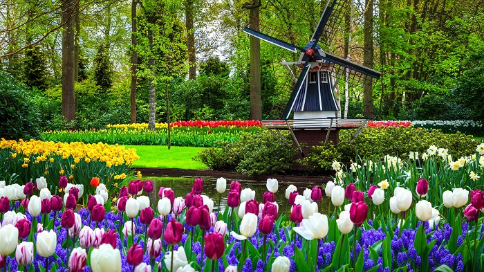 Keukenhof 