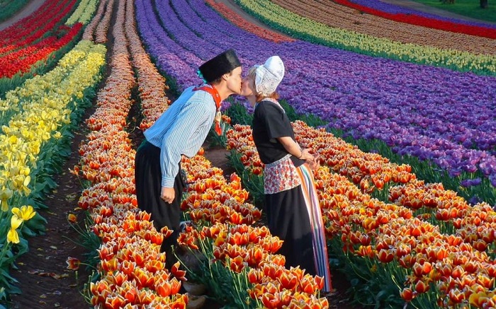 Trải nghiệm lễ hội hoa tulip Keukenhof