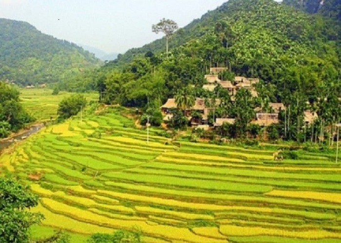 Du Lịch Tây Bắc: Hà Nội - Mai Châu - Mộc Châu - Điện Biên - Lai Châu - Sapa 4 Ngày 
