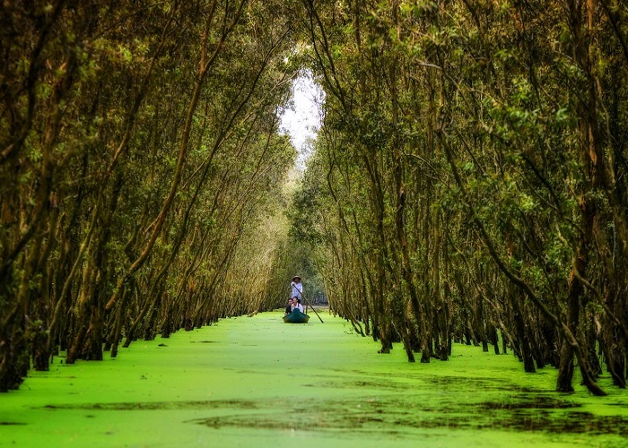 Tour Miền Tây 4N3Đ: Từ Đà Nẵng - SB HCM - Mỹ Tho - Châu Đốc - Rừng Tràm Trà Sư - Cà Mau - Đất Mũi - Cần Thơ, Bay Vietnam Airlines/ Vietjet Air + KS 3*