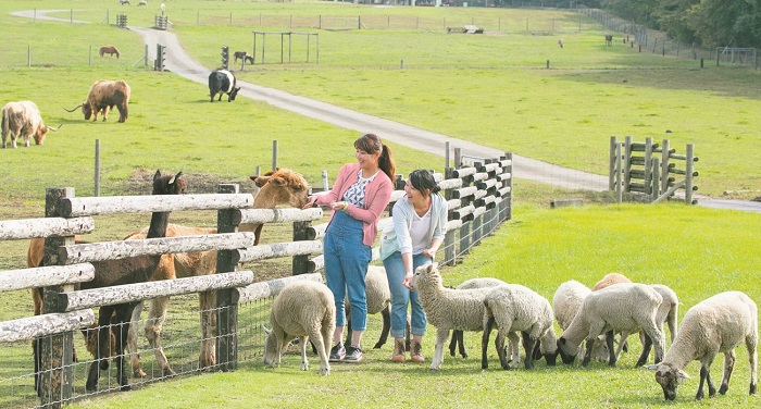 Mother Farm