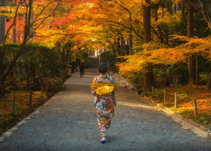 Du Lịch Nhật Bản 6N5Đ: Từ HCM - Kobe - Osaka - Kyoto - Aichi - Yamanashi - Fuji - Tokyo, Bay VN + KS 4*