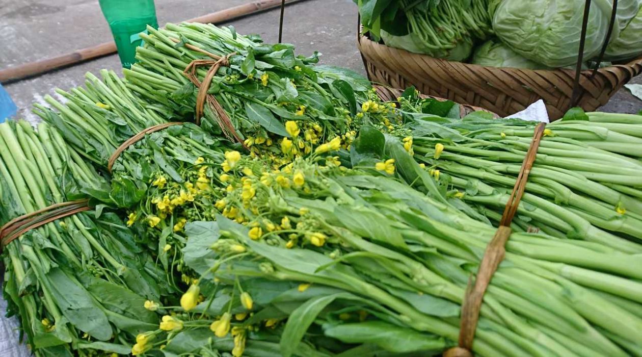 Các loại rau rừng Mộc Châu nổi bật với hương vị tươi ngon và giá trị dinh dưỡng cao.