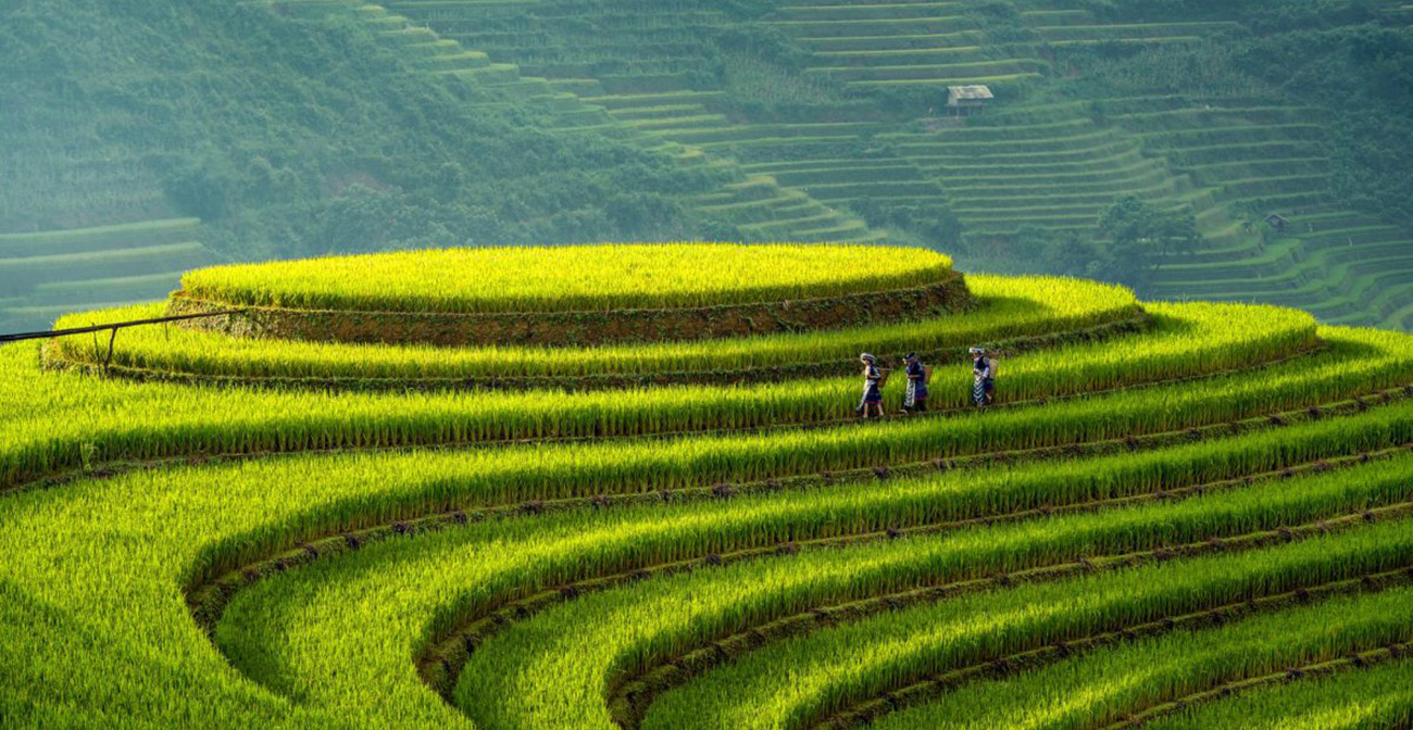 La Pán Tẩn, một bức tranh thiên nhiên tuyệt mỹ