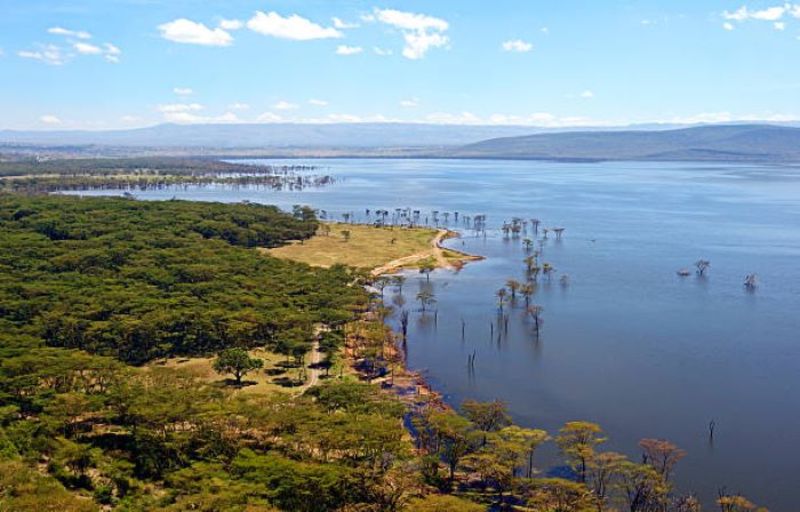 Hồ Naivasha rộng lớn với thảm thực vật đa dạng