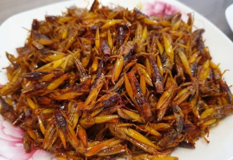 Món ăn làm từ mối là đặc sản có phần “kỳ lạ” tại đất nước Kenya 