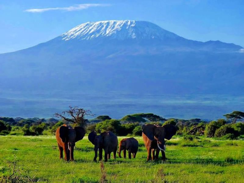 Chú ý quy tắc khi đến tham quan các vườn quốc gia ở Kenya