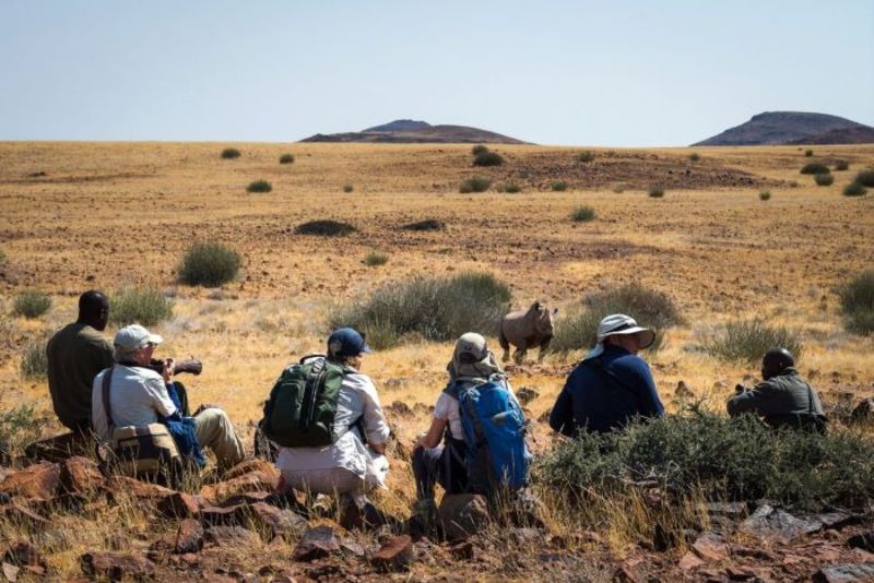Chiêm ngưỡng động vật tự nhiên hoang dã ở khoảng cách gần tại Damaraland