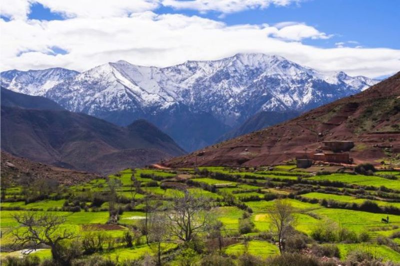 Cảnh đẹp đa dạng ở núi Atlas