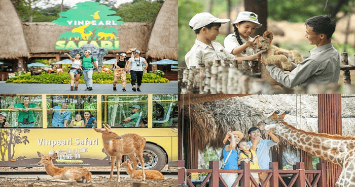 Tham quan thế giới động vật tại Vinpearl Safari