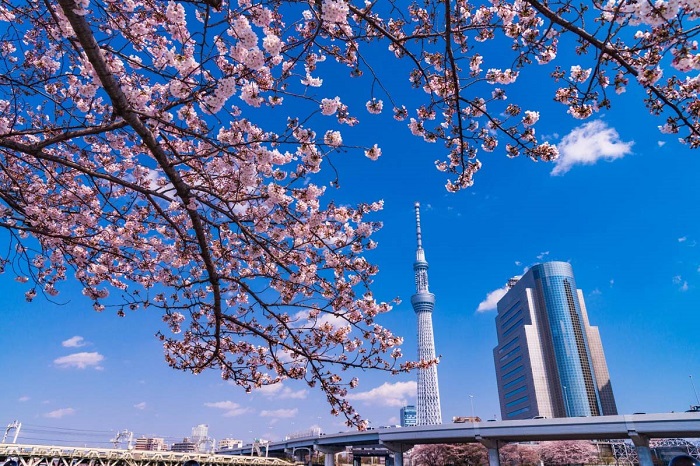 Tòa tháp Tokyo Sky Tree 