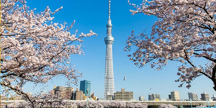 Tháp truyền hình Tokyo Sky Tree
